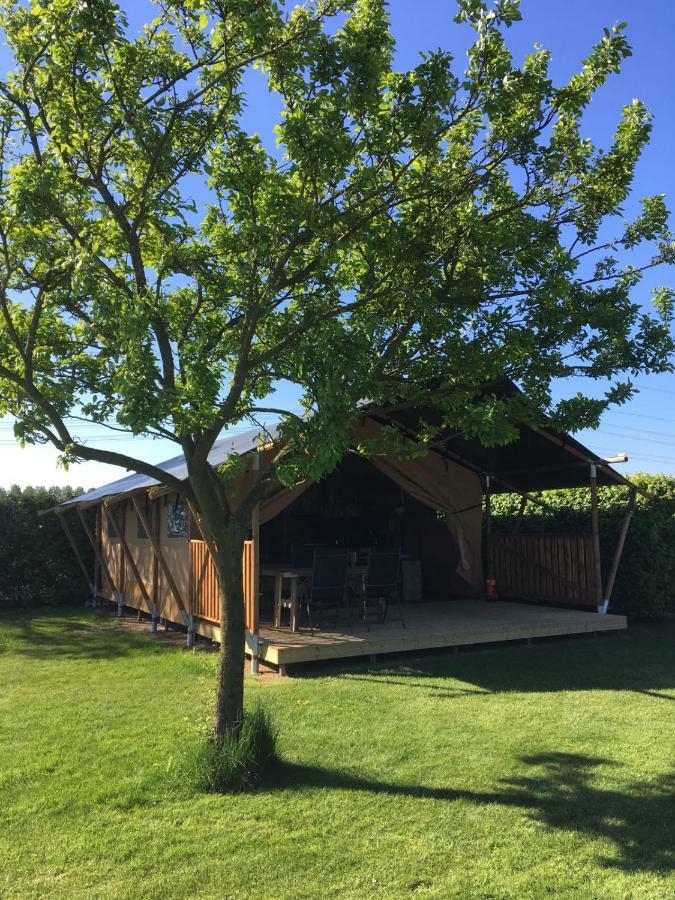 Safaritent 't Kwedammertje Luxe tent *